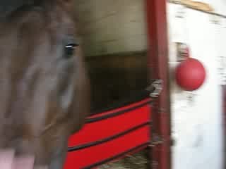 Ihop visits his horse