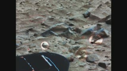 Life on Mars planet evidence