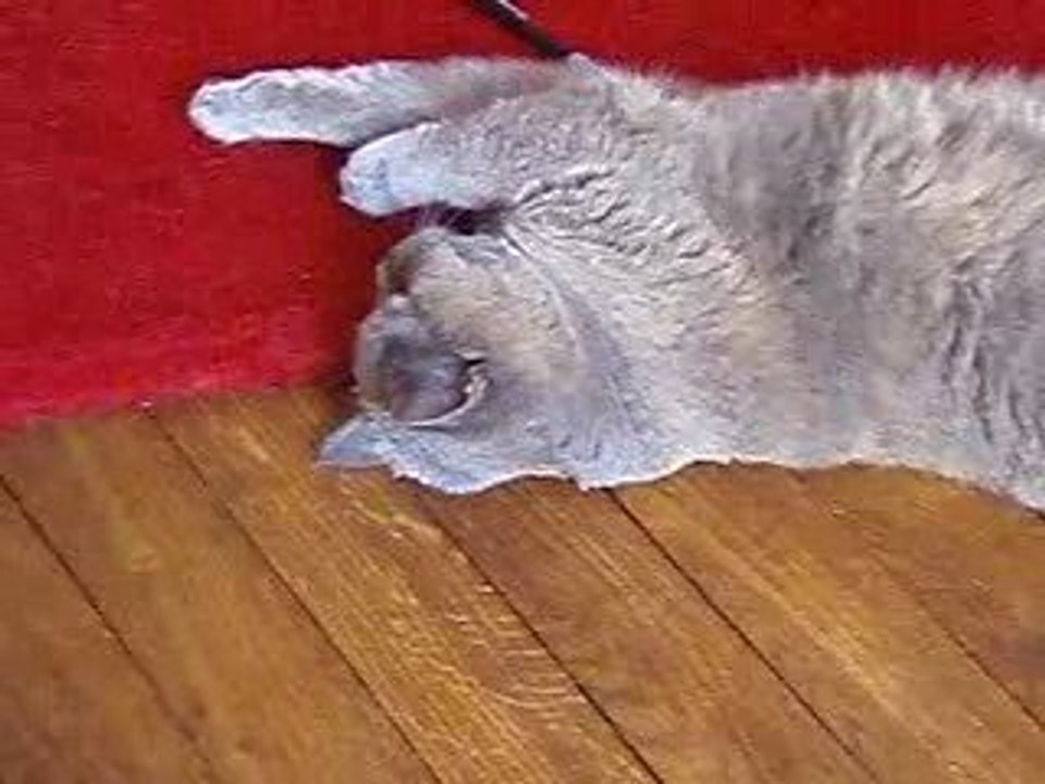 Bento+creme choco 027