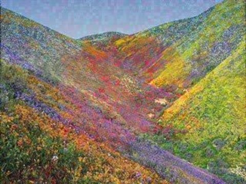 khenifra rouicha et belles fleurs..