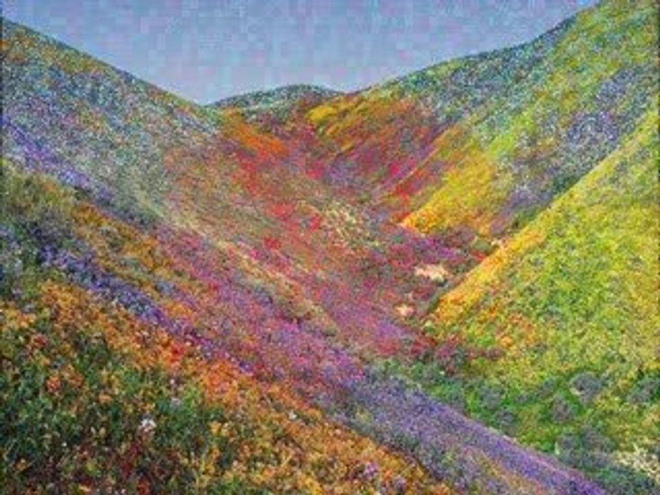 khenifra rouicha et belles fleurs..