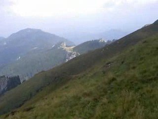 L'herbe est tendre sur les hauteurs