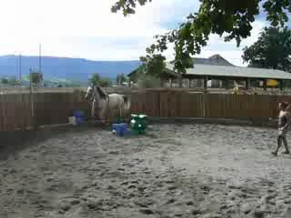 Oualam galop