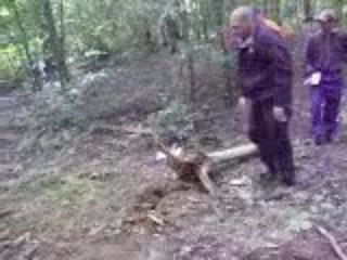 regis dans la foret part2