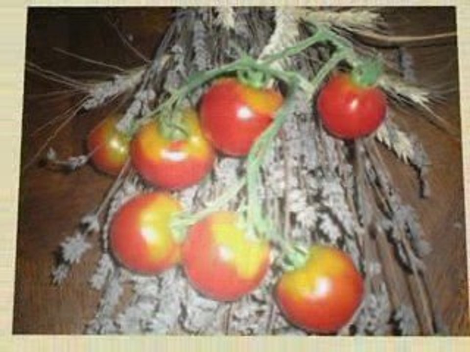Tomates 2009