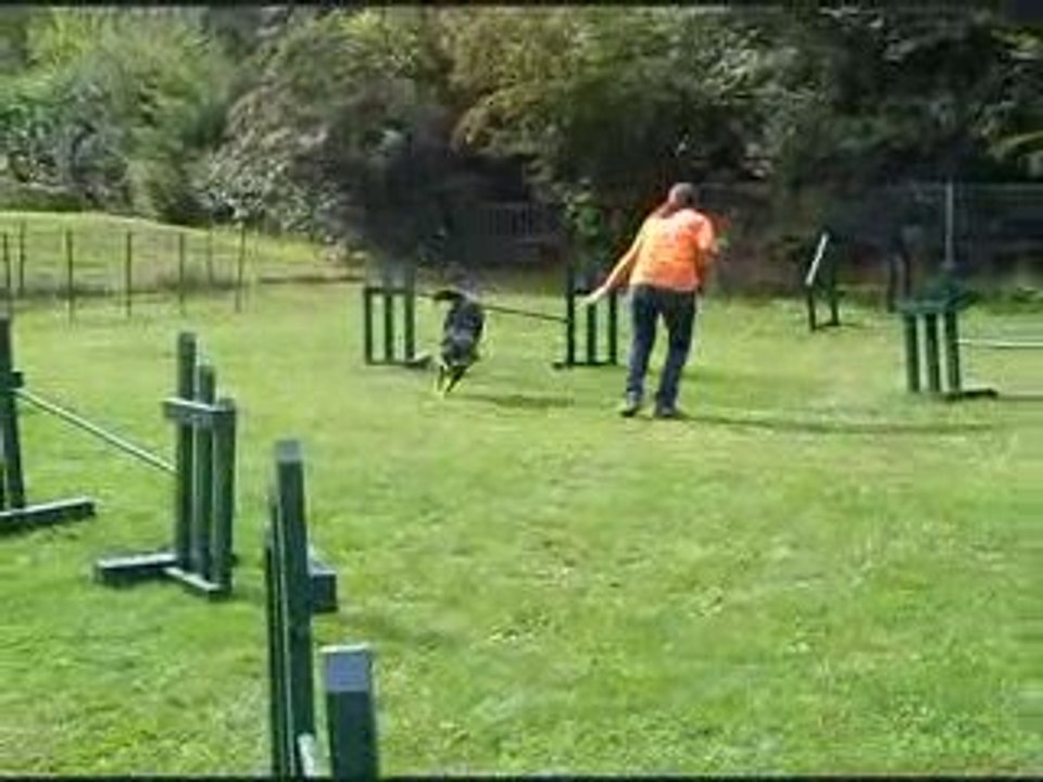 Agility, 3 septembre.