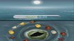 Zenses Ocean Shell Twirl Bonus Round Gameplay Trailer