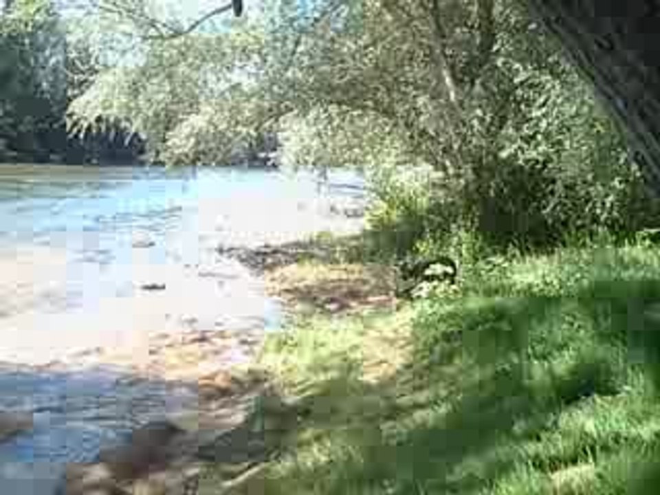 Rivière