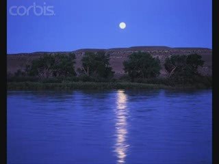 Moonlight On The River-Adrian Schubert Orchestra