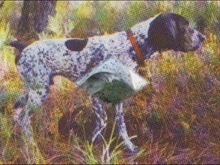 Mon Arbre Généalogique
