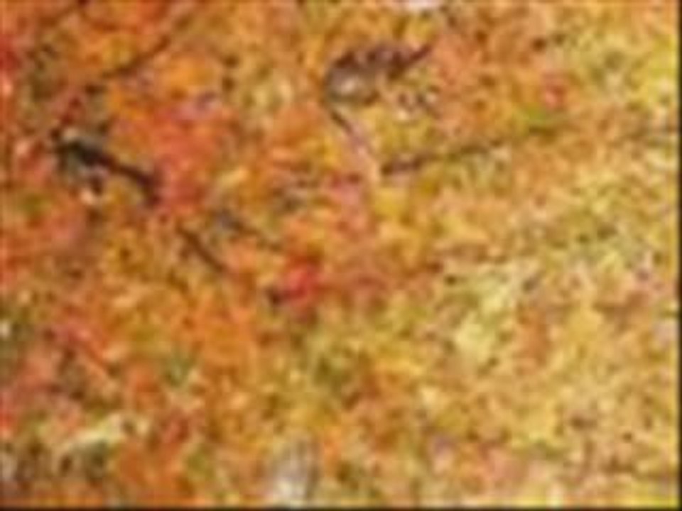 turkuaz crew dj cemal  mc lodos