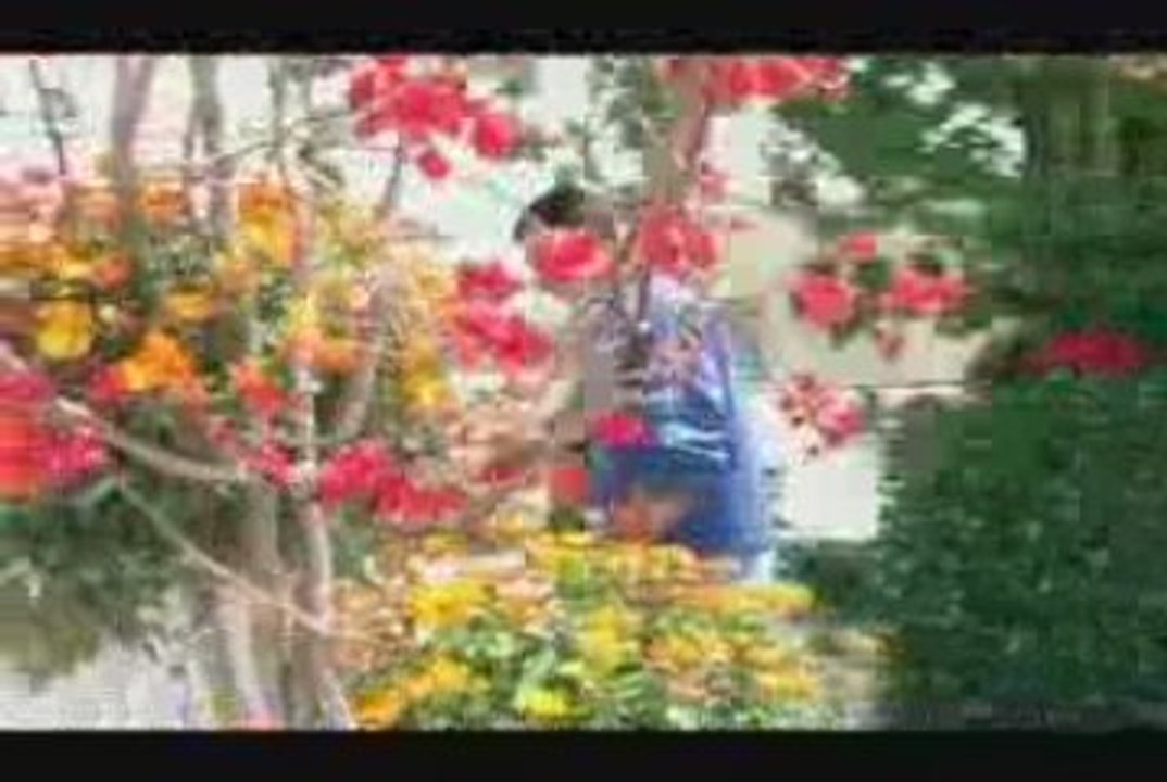 Hide & Seek 1 minute trailer for Sheffield Doc/Fest