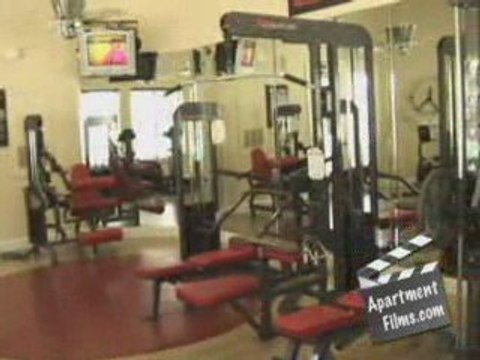 Alexan Piney Creek Video Tour Houston Galleria Apartments