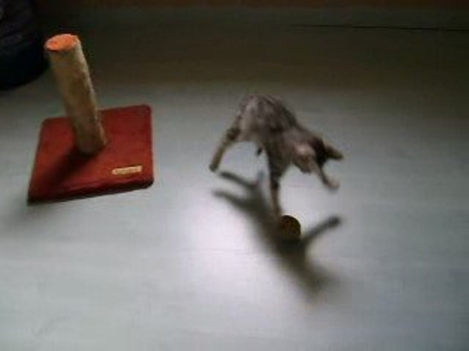 MOV03015