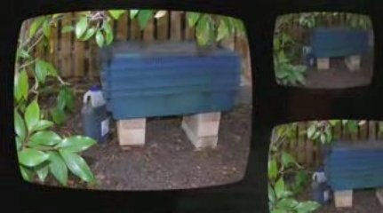 Vermicomposting Explained