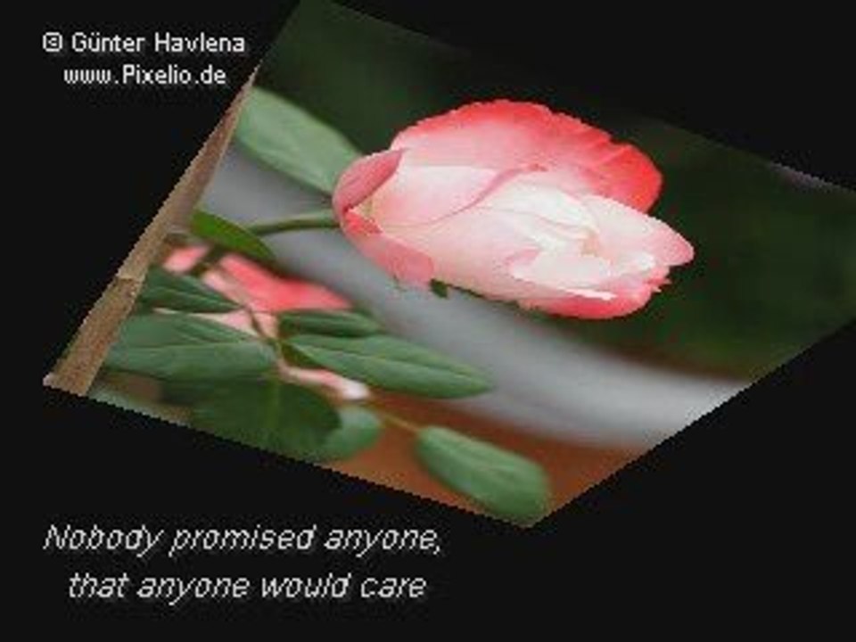 Tony Carey - Looking At The Moon