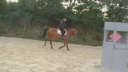 Ocaze à rambouillet 1