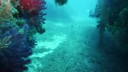 Corse 2009 Caldanu Gorgones