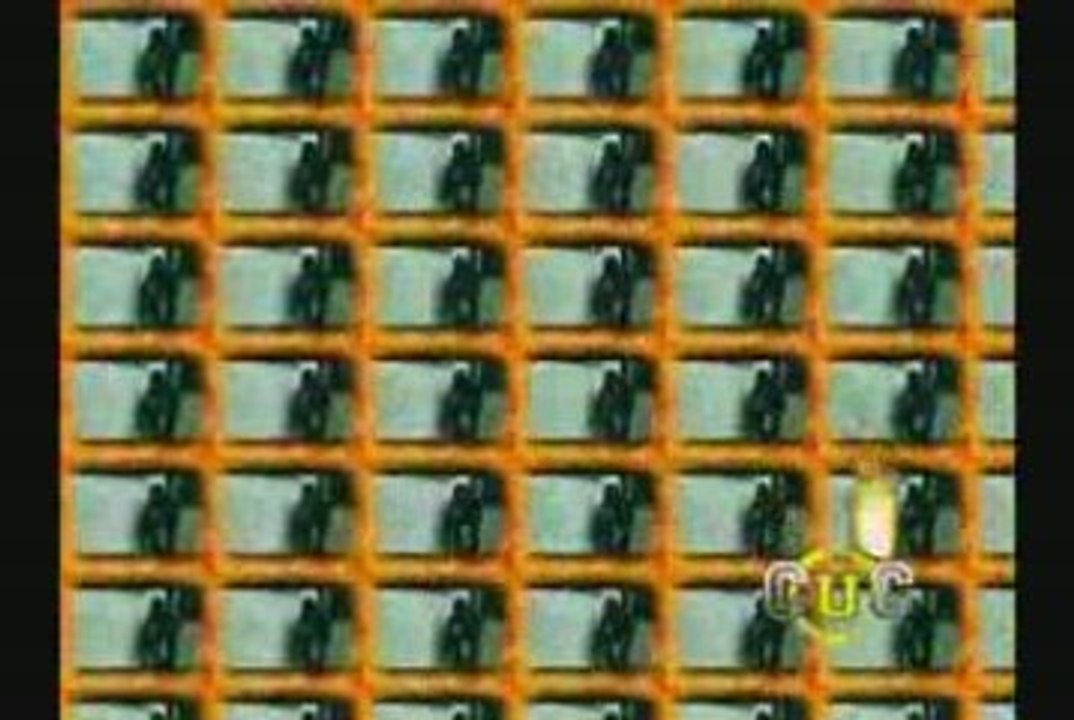 Pub internet Campus Univers Cascades