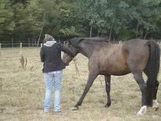 rubis grande hogue2009