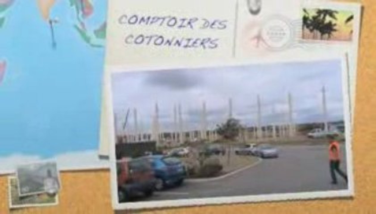 Cotonniers4