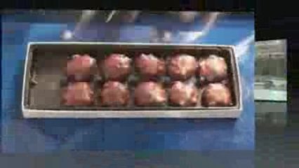 Adept Quattro 650H Food Packaging