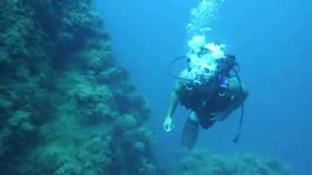 Corse 2009 Sec du Lion Patrick