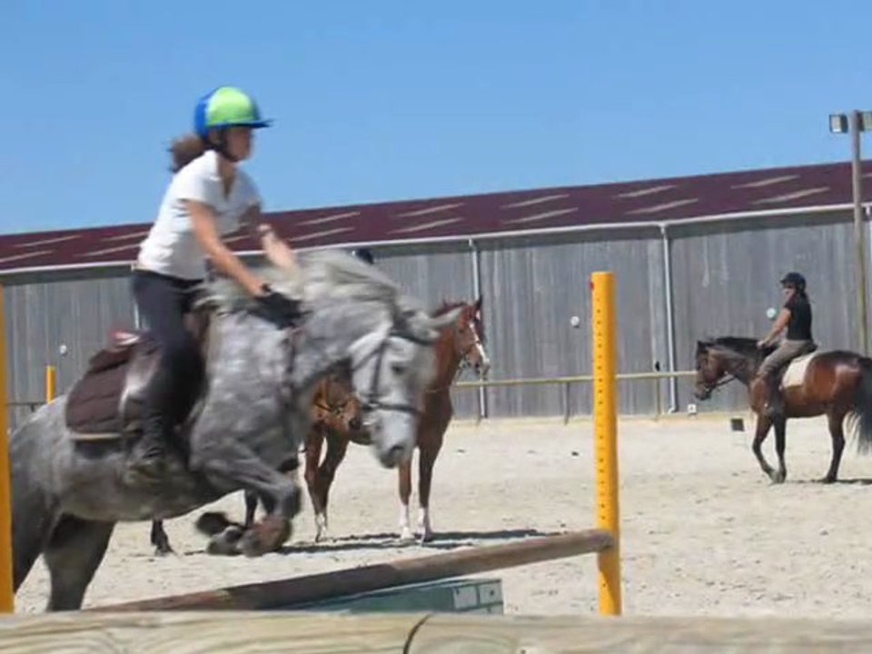saut d'obstacle