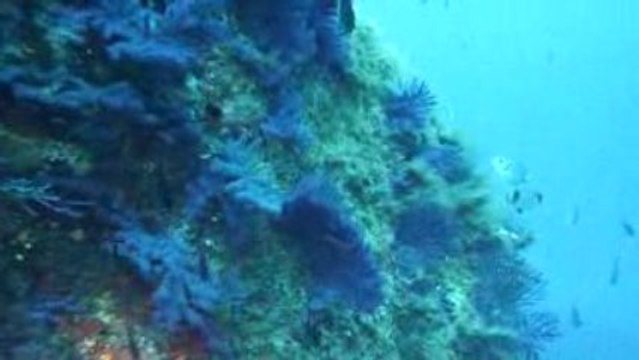 Corse 2009 Sec du Clocher Gorgones Nathalie