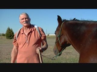 "Natives (working title)" Visual Sample