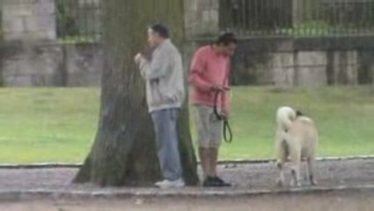 KOUROS en ballade à DINAN