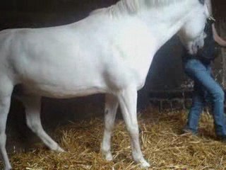 Haxel la ponette de ma vie .