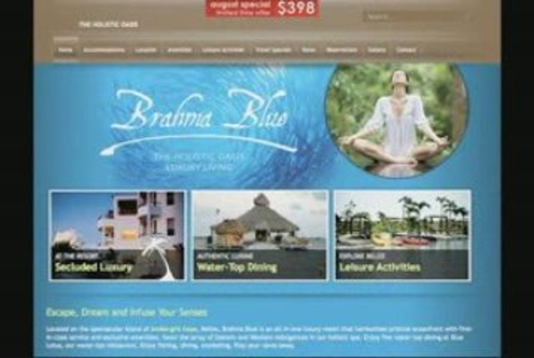 Real Estate Website Design