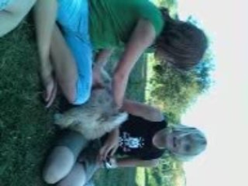 louna claire calipso