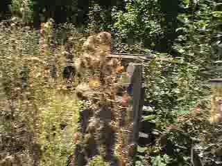 Repérage au vieux cimetière partie 1/3