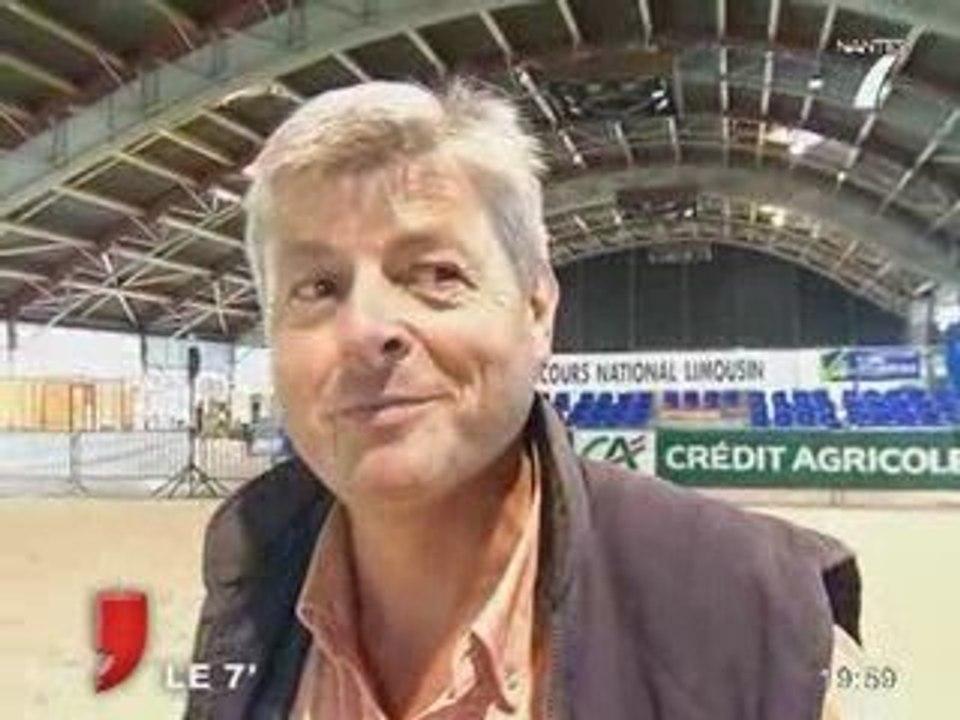 Les vaches limousines prêtent pour le grand bal? (Nantes)