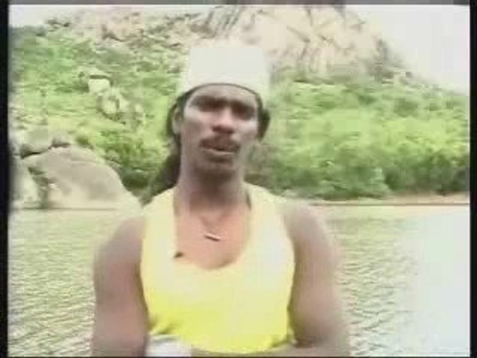 duvara tırmanan adam (Indian_Monkeys)