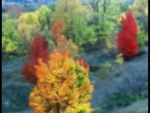 DAKAR 2009 (Argentina Chile)