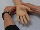 How to test radial &  ulnar artery circulation