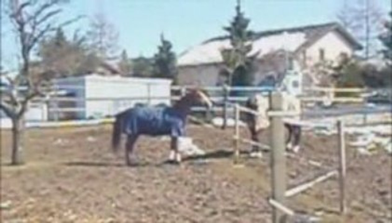 Passion Platière - 1 année de bonheur