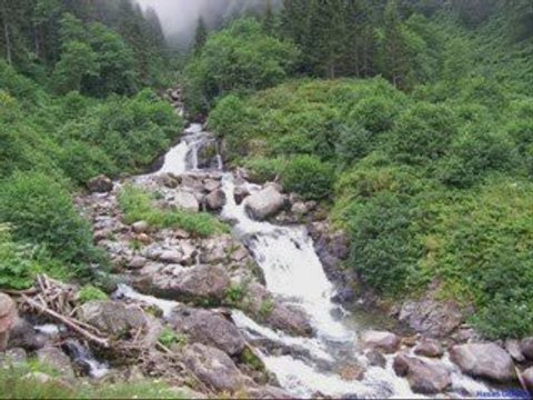 AMLAKİT-MUSTAFA SIRTLI-ALAYIM SEVDUĞUMU-KAVRUN.TR.GG