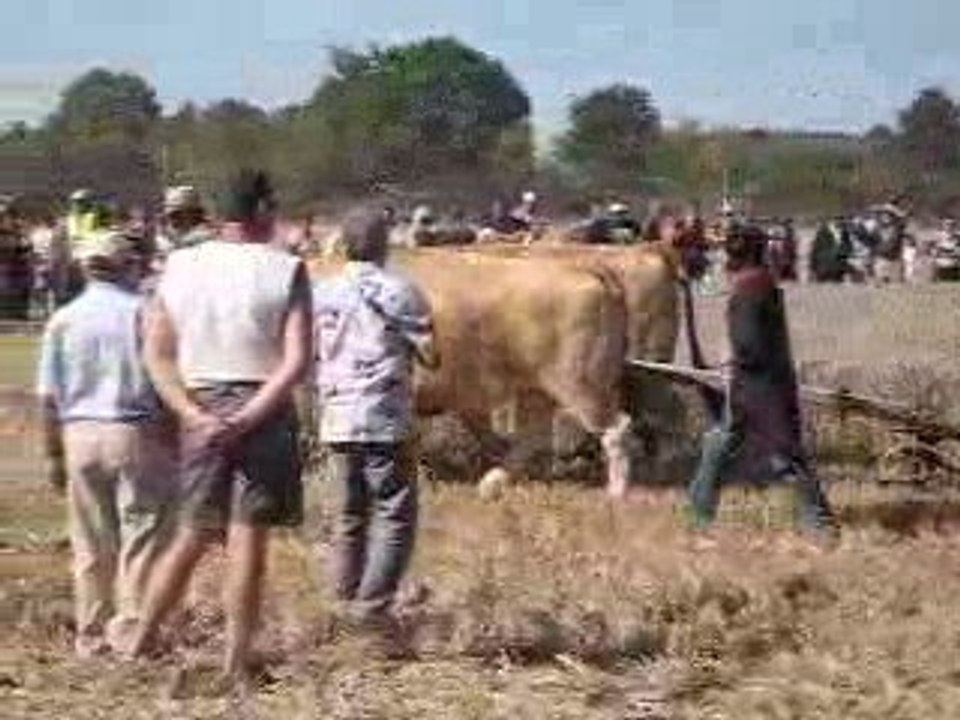 fête montaillé