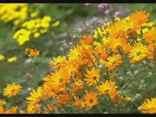 Kenny G - The Moment