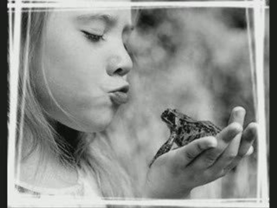 Petite Fleur - - - Mister Dadoo