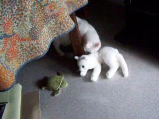 Ohé fait connaissance de mon chat en peluche