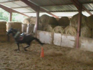 Presque Chute Avec Sultan