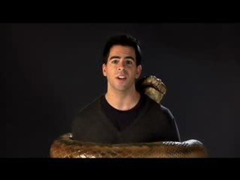 Eli Roth Speaks Out Against Violence in PETA PSA