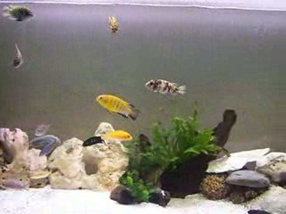 video 11 septembre 001