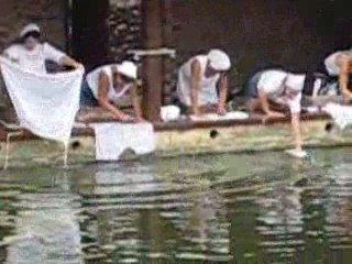 chausson aux pommes saint calais