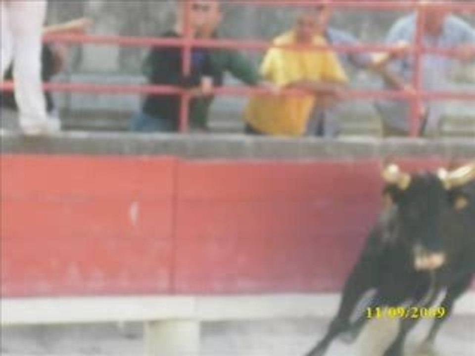 course de l'avenir G 3 a beaucaire  le 11 09 09